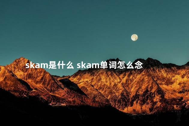 skam是什么 skam单词怎么念